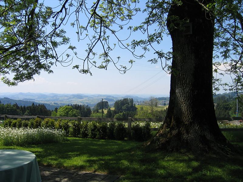 Sitzplatz hinter dem Haus