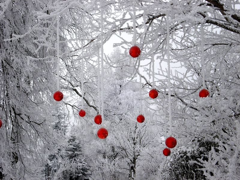Weihnachtszeit auf der Wissegg