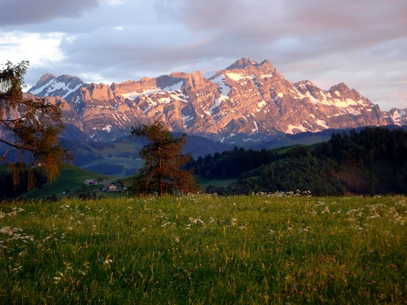 Der Säntis im Abendlicht
